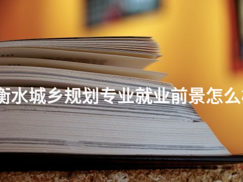 衡水城乡规划专业就业前景怎么样