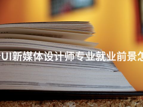 临沂UI新媒体设计师专业就业前景怎么样