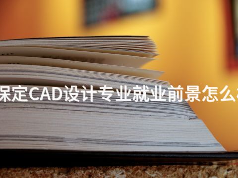 保定CAD设计专业就业前景怎么样(图1) 保定CAD设计专业就业前景怎么样(图1)