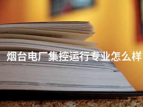 烟台电厂集控运行专业怎么样(图1)