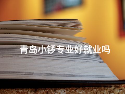 青島小鑼專業好就業嗎(圖1) 青島小鑼專業好就業嗎(圖1)