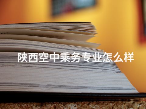 陕西空中乘务专业怎么样(图1) 陕西空中乘务专业怎么样(图1)