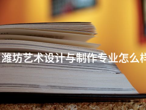 潍坊艺术设计与制作专业怎么样(图1) 潍坊艺术设计与制作专业怎么样(图1)