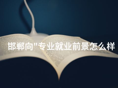 邯郸向"专业就业前景怎么样