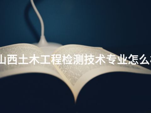 山西土木工程检测技术专业怎么样