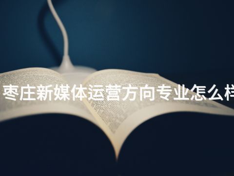 枣庄新媒体运营方向专业怎么样