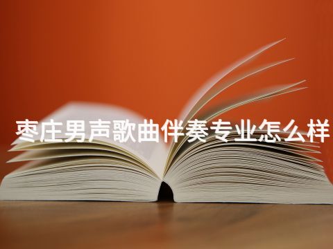 枣庄男声歌曲伴奏专业怎么样