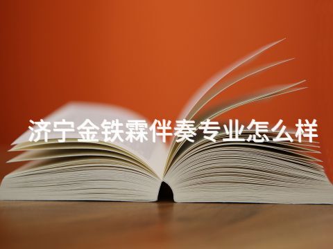 济宁金铁霖伴奏专业怎么样
