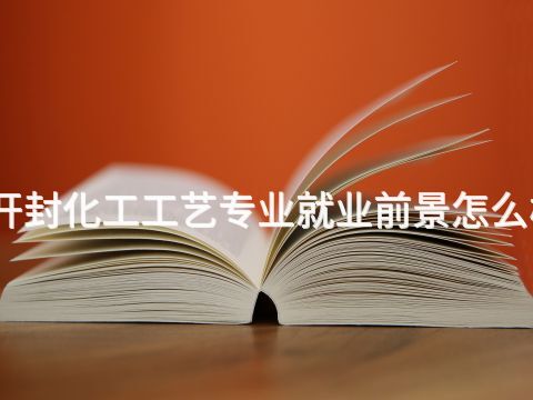 开封化工工艺专业就业前景怎么样