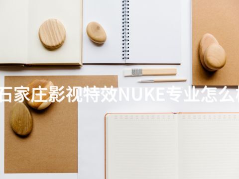 石家莊影視特效NUKE專業怎么樣