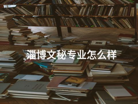 淄博文秘专业怎么样