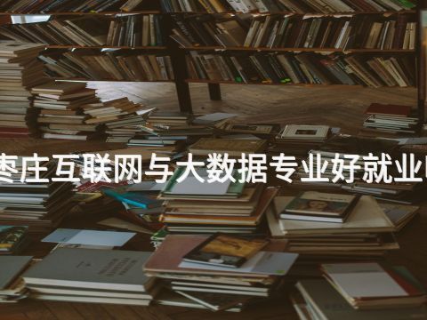 枣庄互联网与大数据专业好就业吗(图1) 枣庄互联网与大数据专业好就业吗(图1)