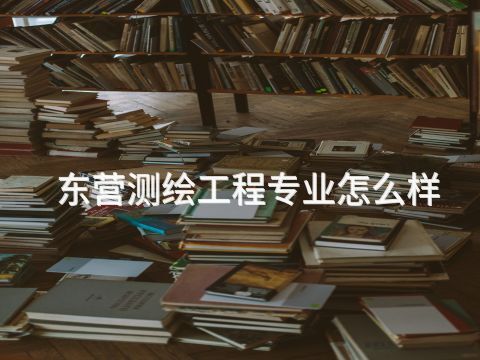 东营测绘工程专业怎么样(图1)