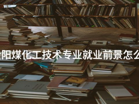 貴陽煤化工技術專業就業前景怎么樣