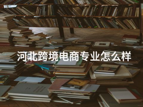 河北跨境电商专业怎么样(图1) 河北跨境电商专业怎么样(图1)