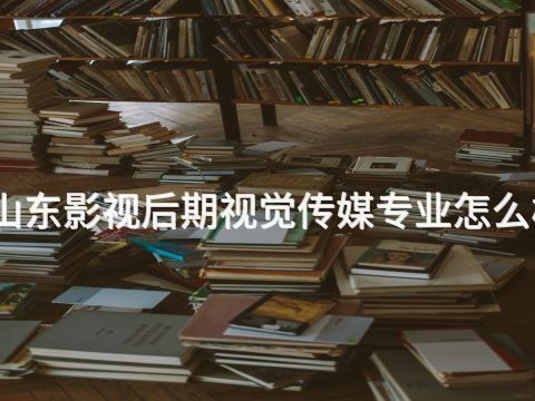 山东影视后期视觉传媒专业怎么样(图1) 山东影视后期视觉传媒专业怎么样(图1)