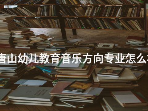 唐山幼儿教育音乐方向专业怎么样