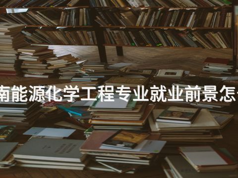 河南能源化学工程专业就业前景怎么样