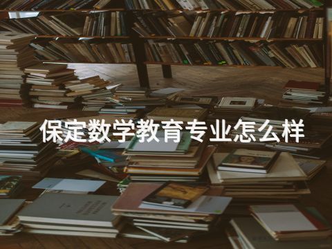保定数学教育专业怎么样