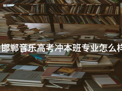 邯郸音乐高考冲本班专业怎么样(图1) 邯郸音乐高考冲本班专业怎么样(图1)