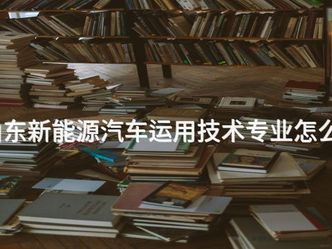 山东新能源汽车运用技术专业怎么样