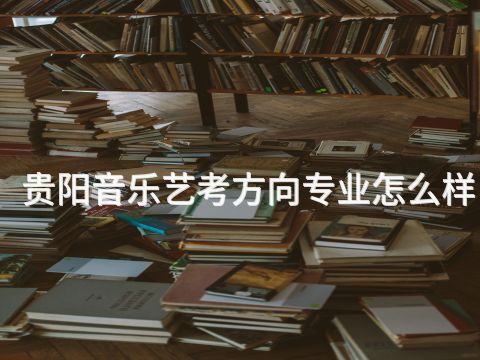 贵阳音乐艺考方向专业怎么样(图1)