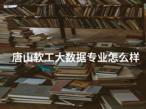 唐山软工大数据专业怎么样