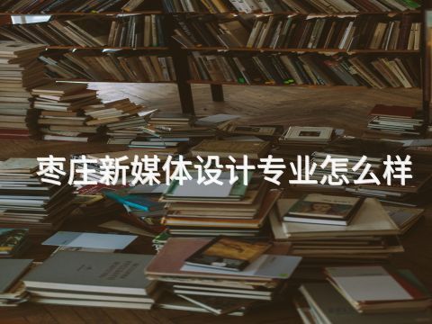 枣庄新媒体设计专业怎么样