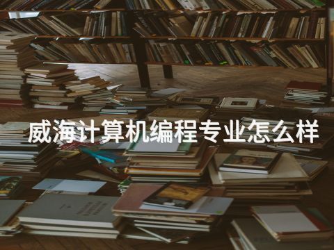威海计算机编程专业怎么样(图1) 威海计算机编程专业怎么样(图1)
