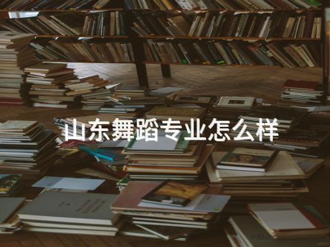 山东舞蹈专业怎么样