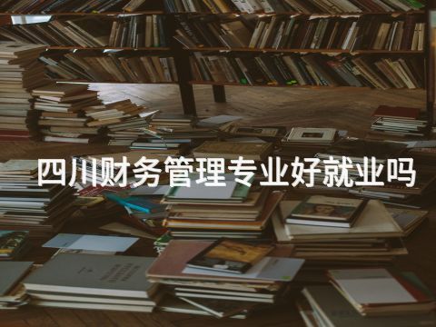 四川財務管理專業好就業嗎(圖1) 四川財務管理專業好就業嗎(圖1)