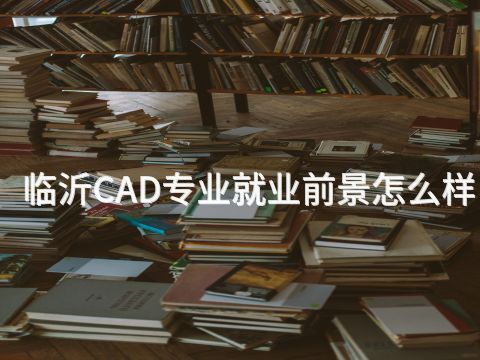 临沂CAD专业就业前景怎么样