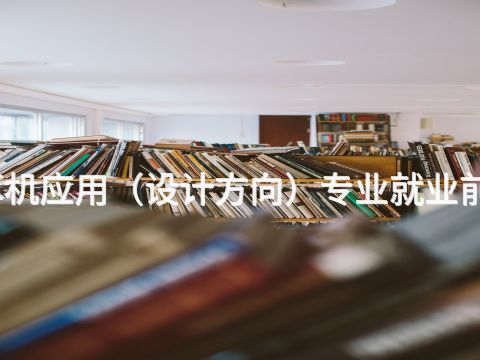 廊坊计算机应用（设计方向）专业就业前景怎么样
