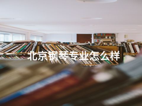 北京钢琴专业怎么样