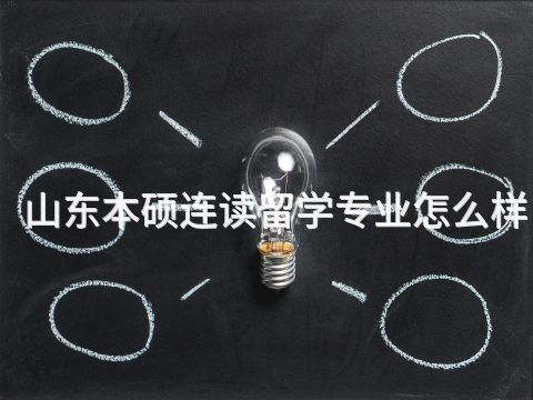 山东本硕连读留学专业怎么样