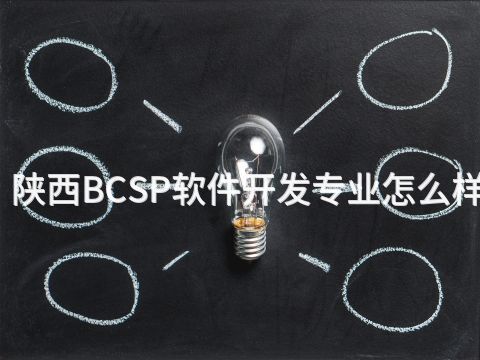 陕西BCSP软件开发专业怎么样