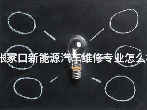 张家口新能源汽车维修专业怎么样(图1) 张家口新能源汽车维修专业怎么样(图1)