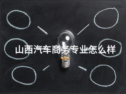 山西汽车商务专业怎么样(图1) 山西汽车商务专业怎么样(图1)