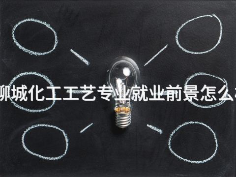 聊城化工工艺专业就业前景怎么样(图1)