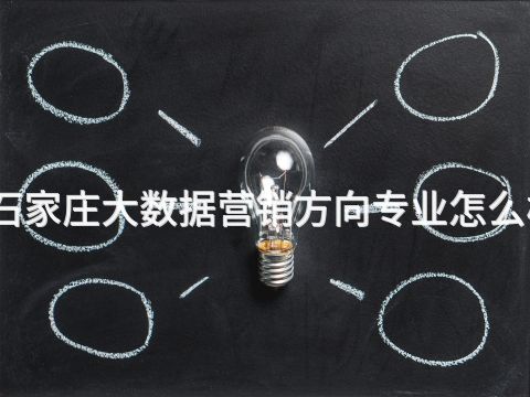 石家庄大数据营销方向专业怎么样(图1) 石家庄大数据营销方向专业怎么样(图1)
