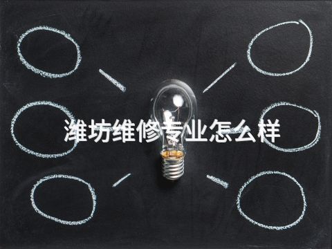 潍坊维修专业怎么样