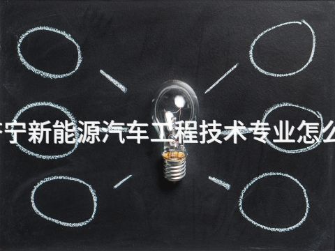 济宁新能源汽车工程技术专业怎么样(图1) 济宁新能源汽车工程技术专业怎么样(图1)