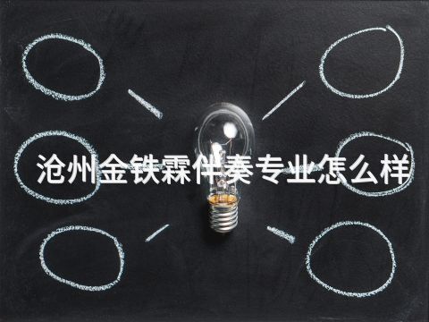 滄州金鐵霖伴奏專業怎么樣