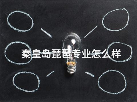 秦皇岛琵琶专业怎么样(图1) 秦皇岛琵琶专业怎么样(图1)