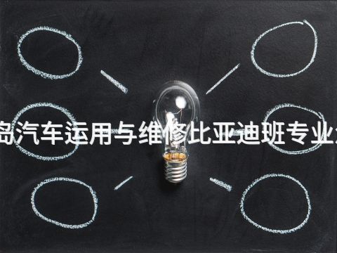 秦皇岛汽车运用与维修比亚迪班专业怎么样