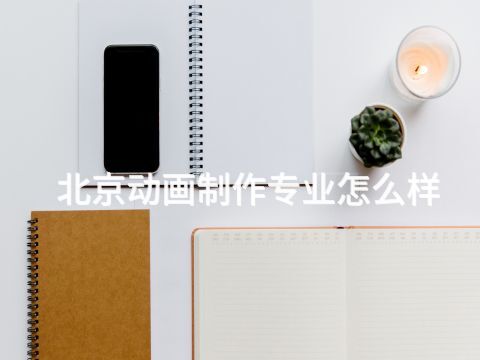 北京动画制作专业怎么样