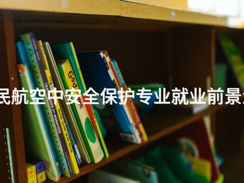 泰安民航空中安全保护专业就业前景怎么样