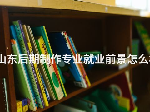 山东后期制作专业就业前景怎么样