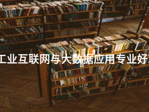 邢台工业互联网与大数据应用专业好就业吗