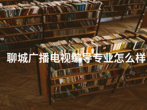 聊城广播电视编导专业怎么样